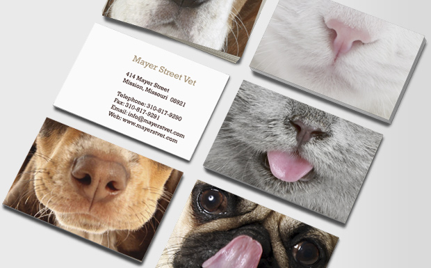 Pet Care & Veterinarian Business Cards Animal Care & Vets MOO